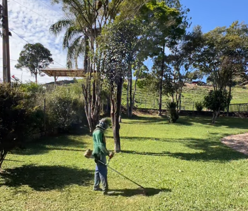 Corte e roçada de gramado amplo